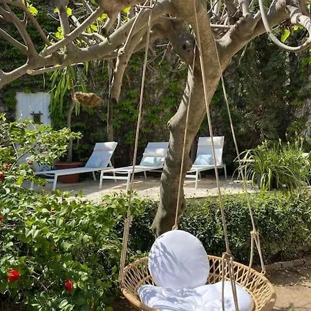La Petite Palmeraie * Fréjus