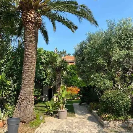 Vila La Petite Palmeraie Fréjus